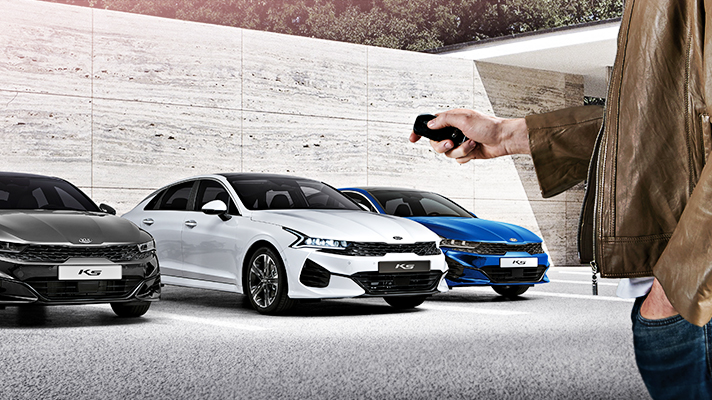 Description of Remote Smart Parking Assist