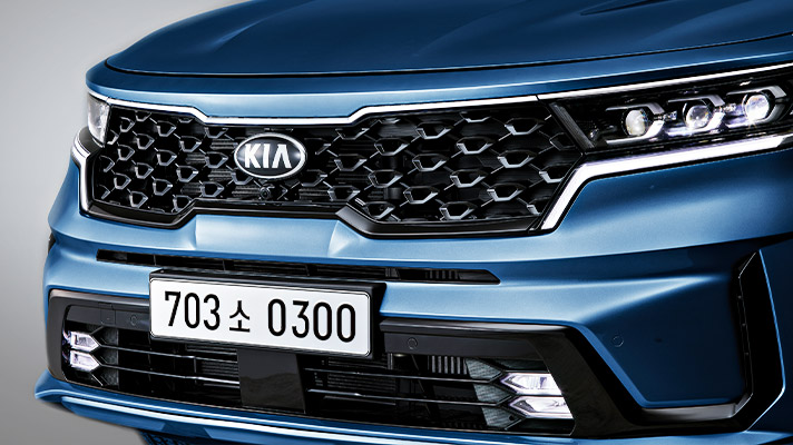 Sorento tiger-nose grille