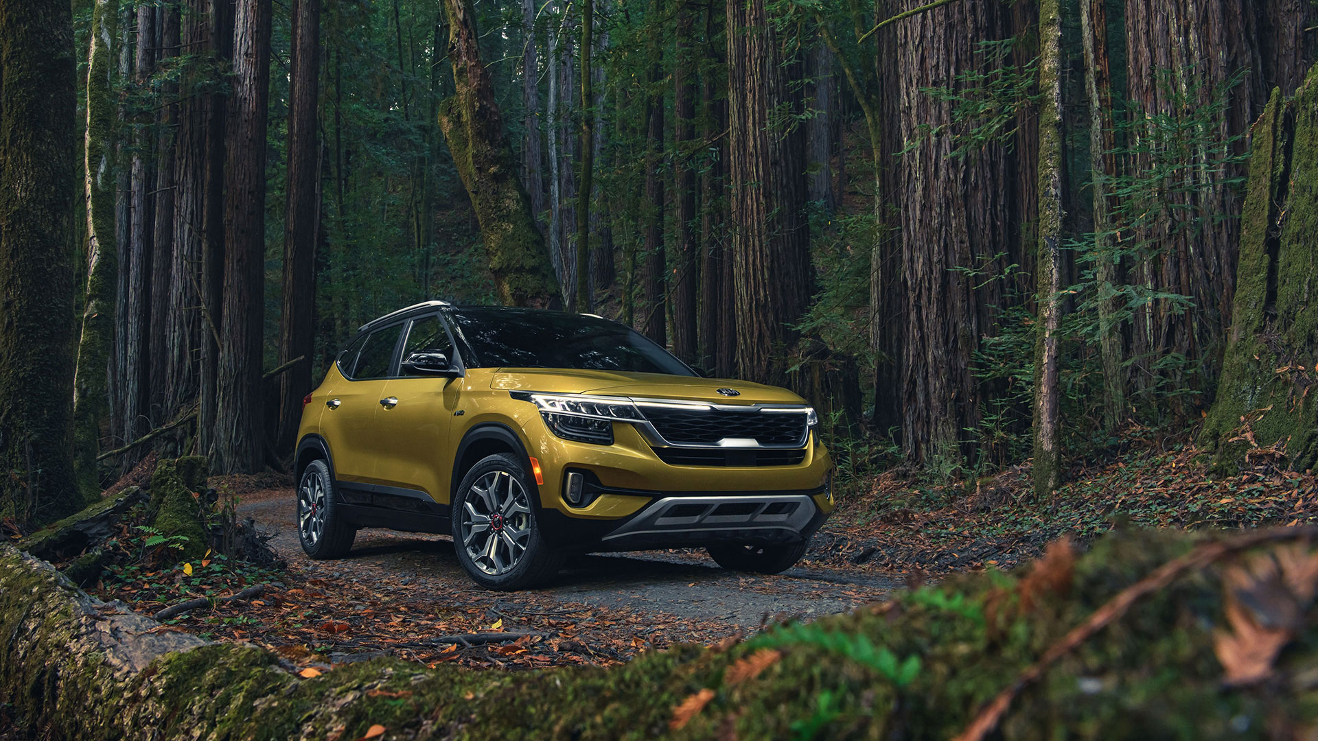 Kia Seltos and Telluride earn three top honors in 2021 Kelley Blue Book