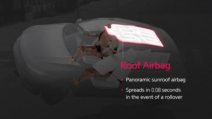 Roof Airbag