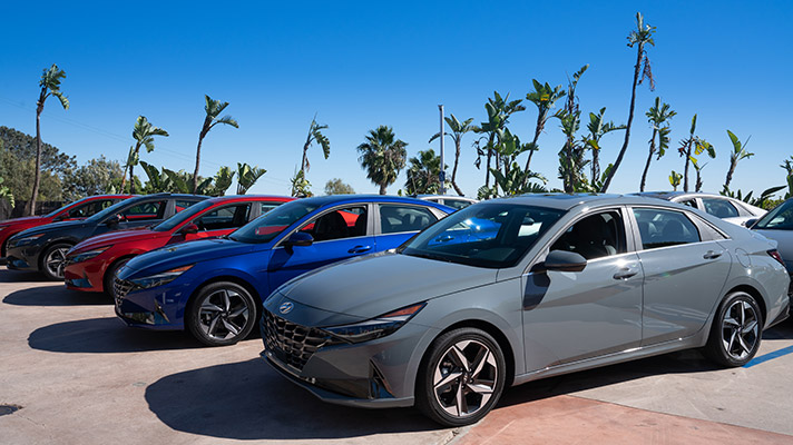 다양한 색상의 아반떼 차량들이 주차되어 있는 모습