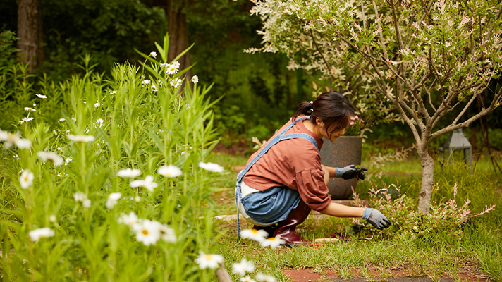 Gardener Lee Boram