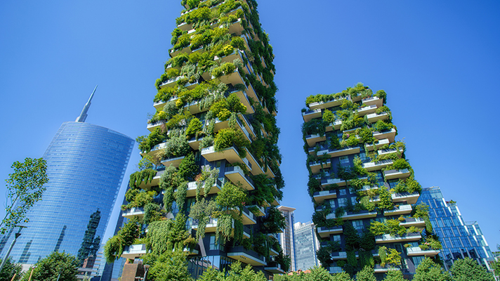 Plants surrounding the entire apartment