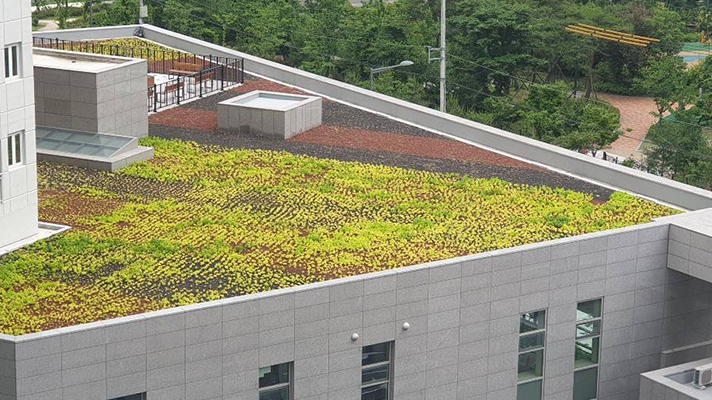 View of the roof of a building with plants growing