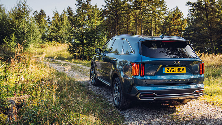 자연 속을 달리는 기아 쏘렌토 후면