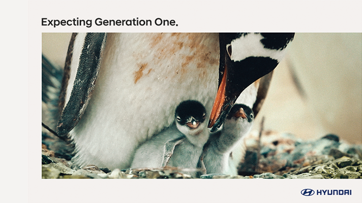 현대자동차 제네레이션 원 캠페인의 펭귄 모습