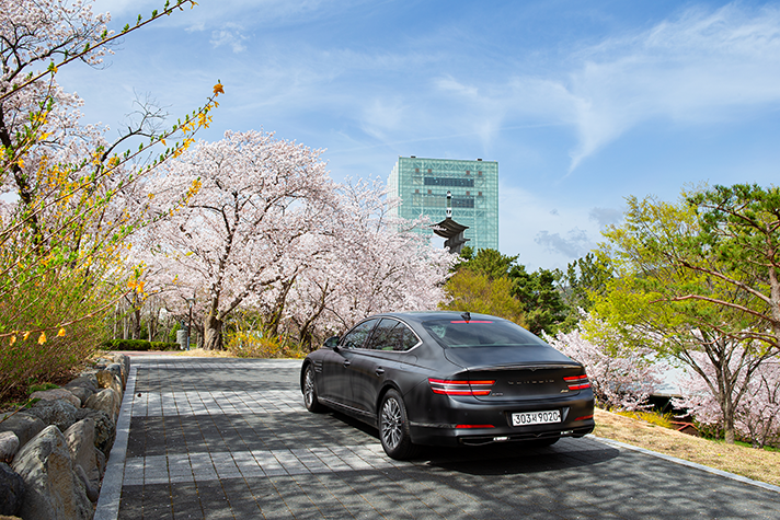 솔거미미술관 앞에 주차된 제네시스 G80 모습