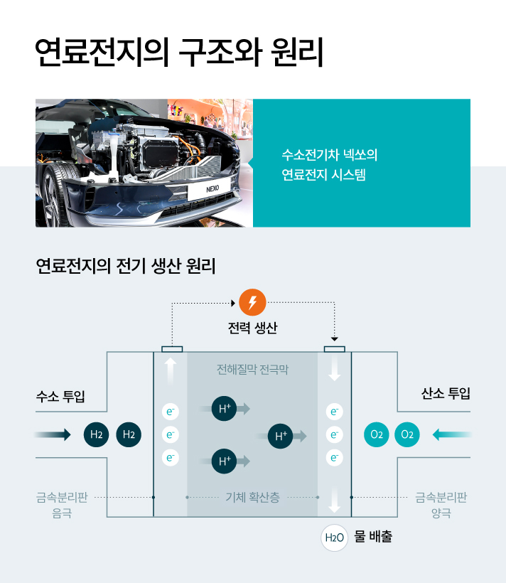 연료전지의 전기 생산 원리를 설명하는 인포그래픽. 수소 전기차 넥쏘의 연료전지 시스템. 연료극에 공급된 수소가 수소 이온과 전자로 분리된 후, 수소 이온은 전해질층을 통해 공기극으로, 전자는 외부회로를 통해 공기극으로 이동한다. 이 과정에서 전자는 전기에너지를 발생시키고 공기극 쪽에서 만난 산소 이온과 수소 이온은 물과 열을 생산하게 된다. 연료전지 내에서 수소와 산소가 화학반응으로 결합해 전기와 물, 열을 생성하는 것이다.