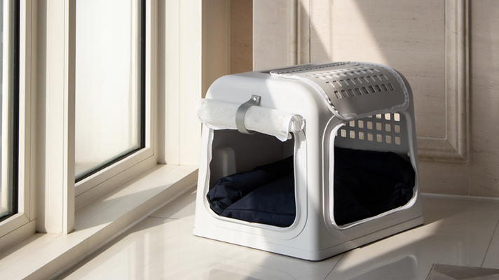 거실에 놓인 현대자동차의 펫 하우스