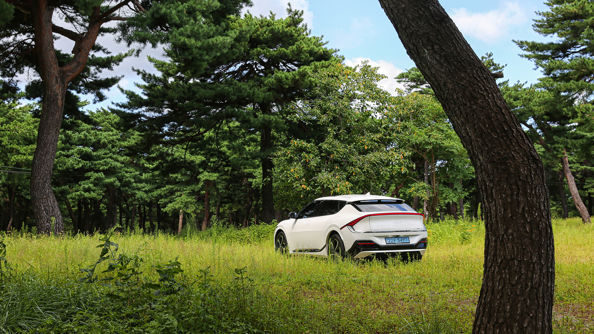 EV6 rear view in nature