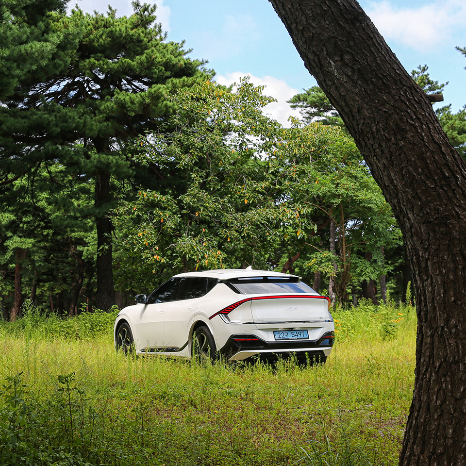 EV6 rear view in nature
