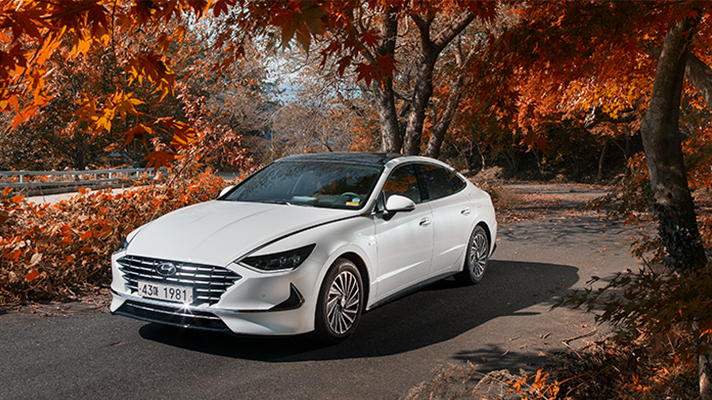 낙엽진 산길에 주차된 현대자동차 쏘나타 하이브리드 모습