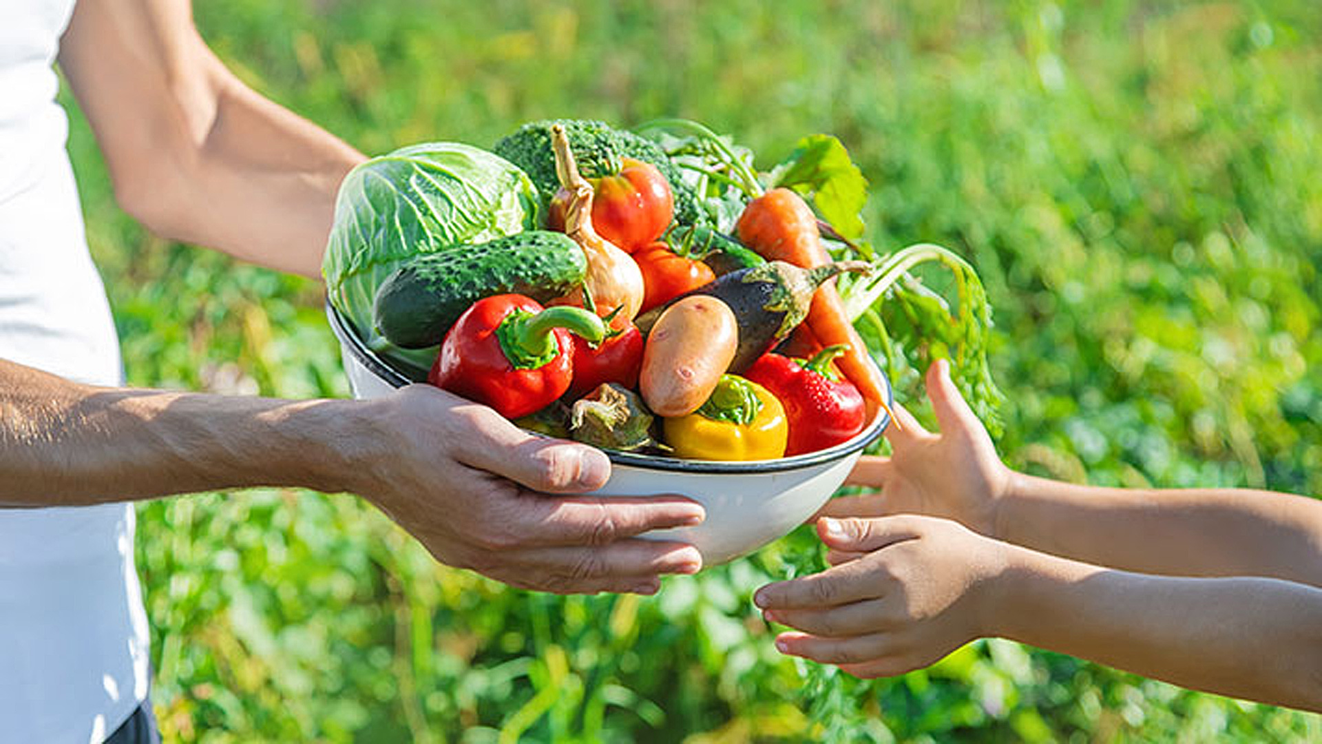 농산물 꾸러미를 전하는 손길