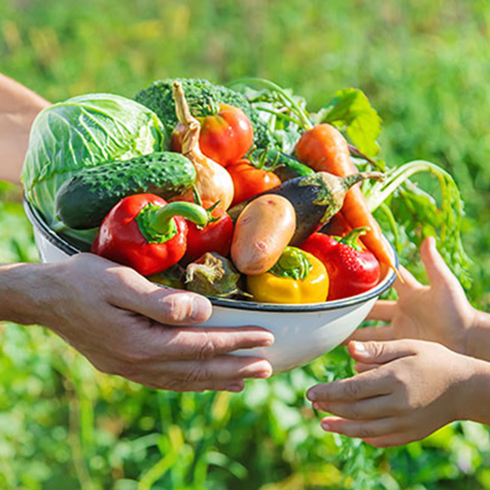 농산물 꾸러미를 전하는 손길