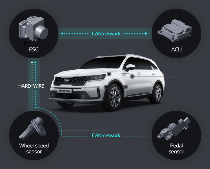 The MCB system constitutes an organic network of the sensors