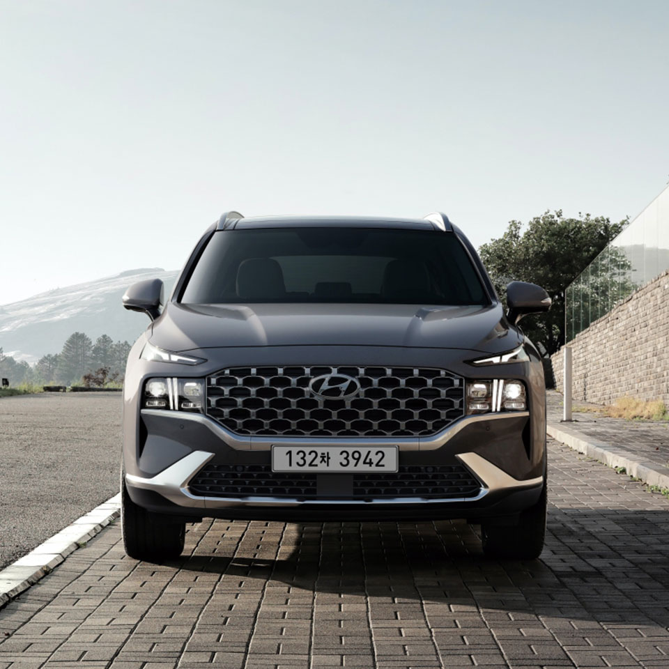 더 뉴 싼타페 전면