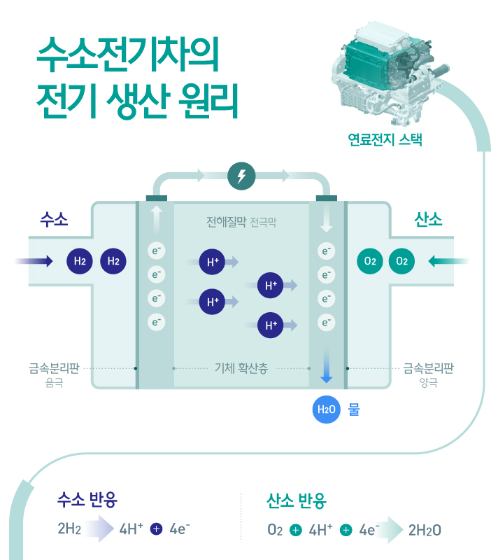수소를 음극에 공급하면 수소는 수소이온 H+ 과 전자 e-로 산화되고 양극에서는 산소와 전해질을 통해 이동한 수소이온과 전자가 결합하여 물을 생성시키는 환원반응이 일어난다. 이 과정에서 전자의 외부 흐름이 전류를형성하여 전기를 발생시키는 수소전기차의 전기 생산 원리를 설명한 인포그래픽