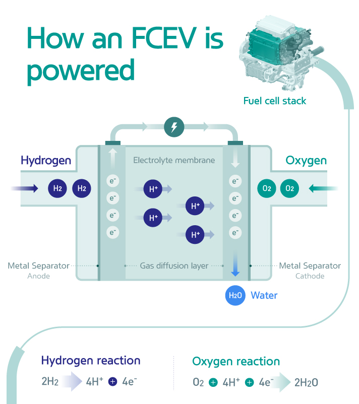 How an FCEV is powered