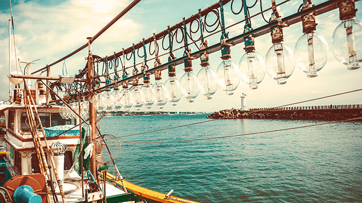 여름 제주의 액티비티, 한치 낚시