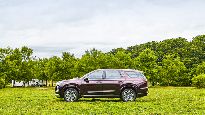 팰리세이드 옆 모습