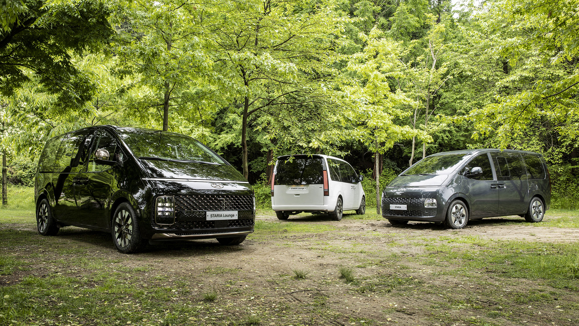 Three Hyundai STARIA parked in the forest