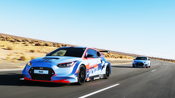 고성능 N 모델 차량들