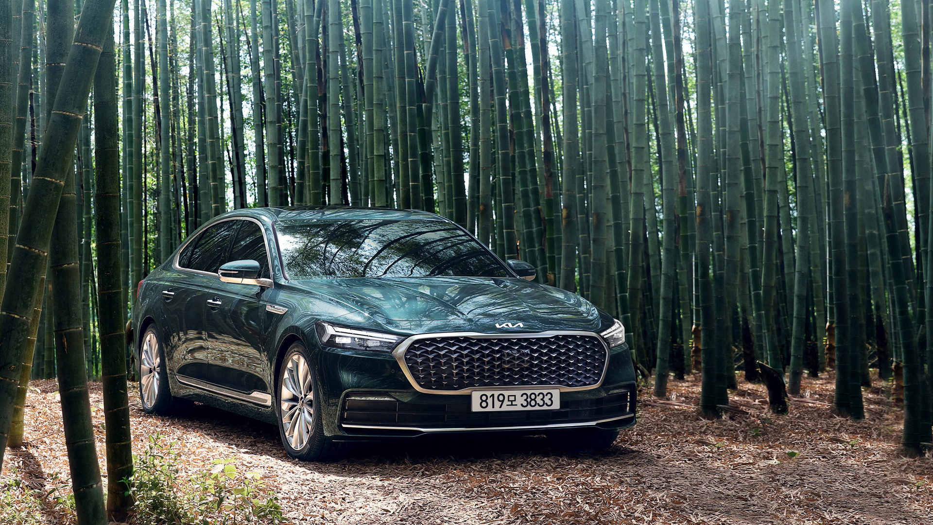 대나무 숲 기아 K9