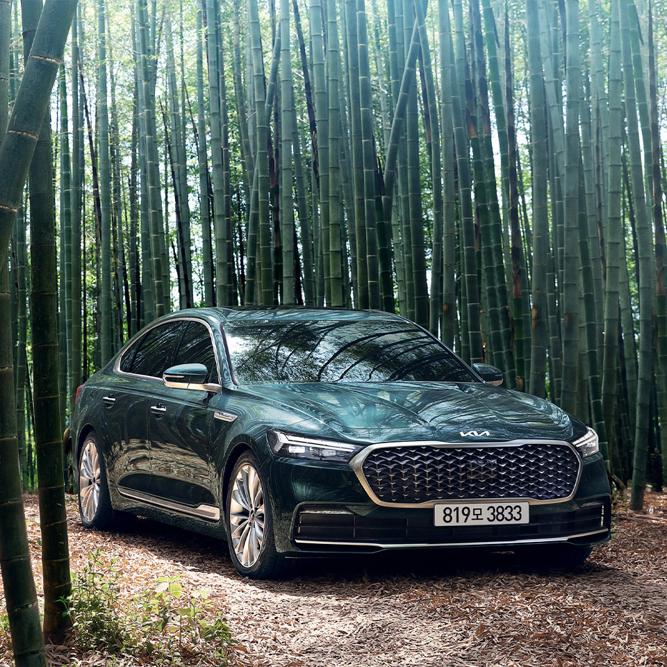 대나무 숲 기아 K9