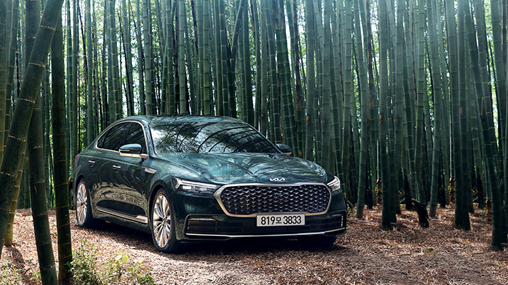 대나무 숲 기아 K9