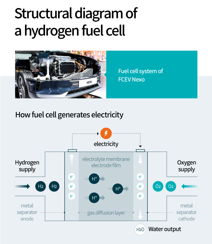 Explaining principle of electricity production in fuel cells