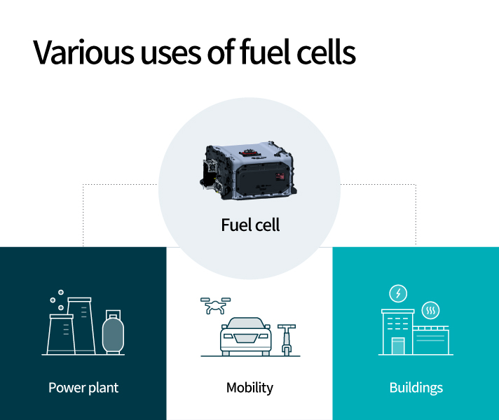 Explaining fuel cells used in various fields