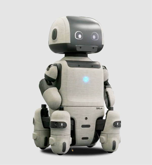 Sales based Service Robot