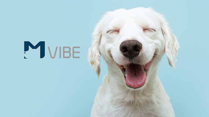 M vibe logo image with smiling puppy front view