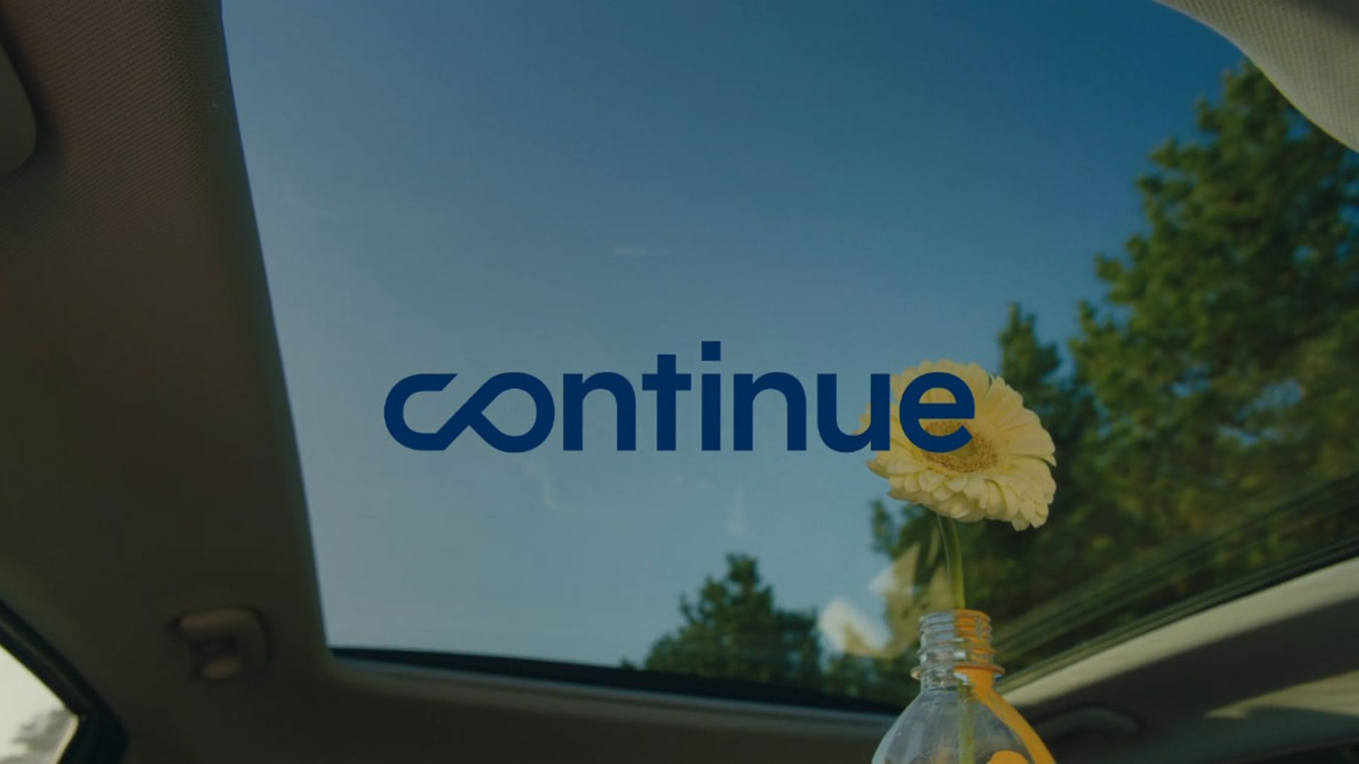 The image of the logo 'Continue', overlapping the yellow flower in a transparent plastic bottle.