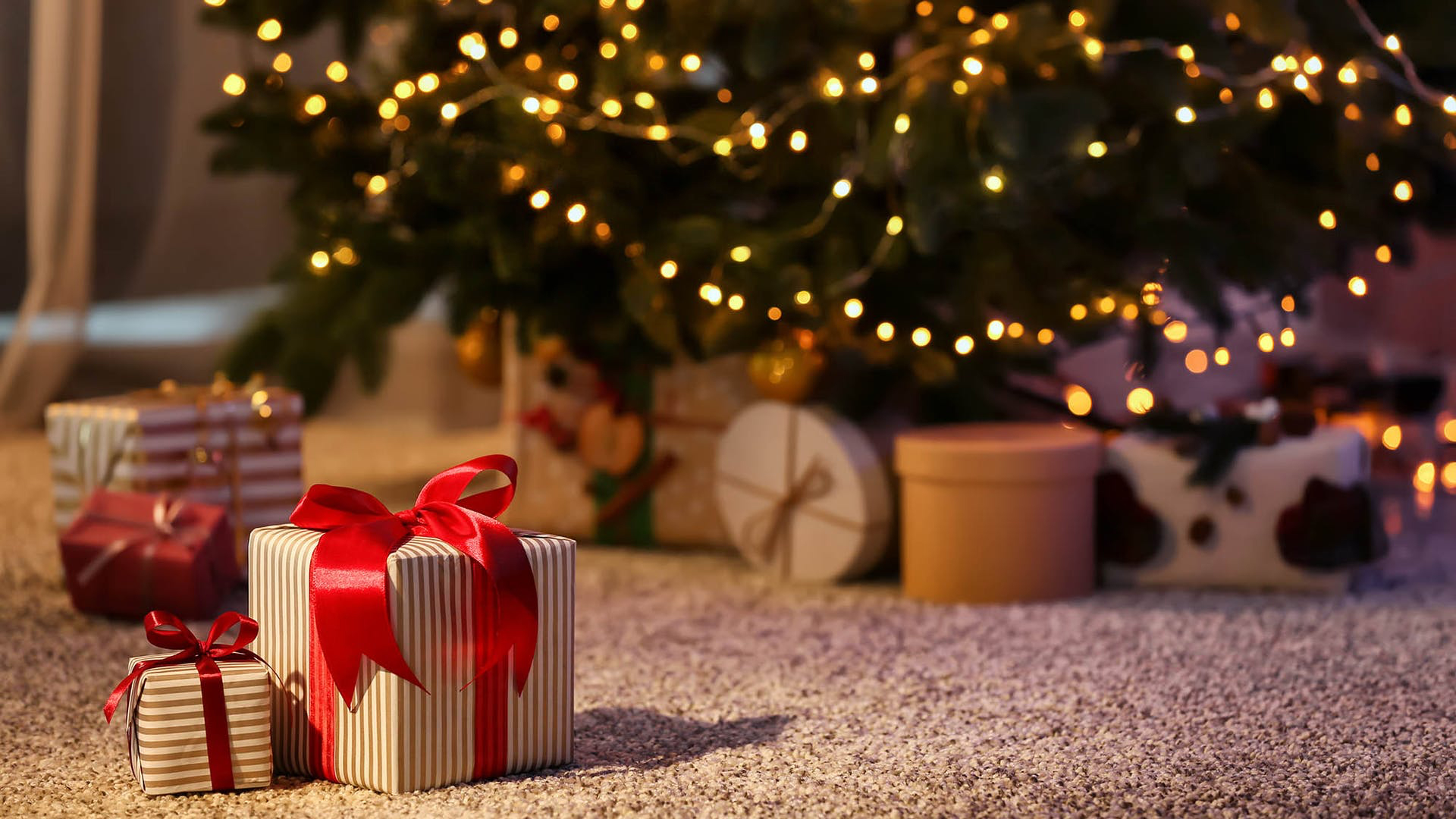 The gift focus in front of the Christmas tree.