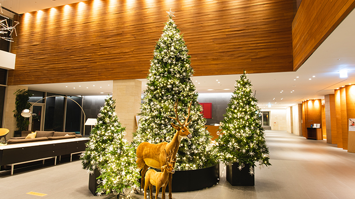 롤링힐스 내 크리스마스 트리