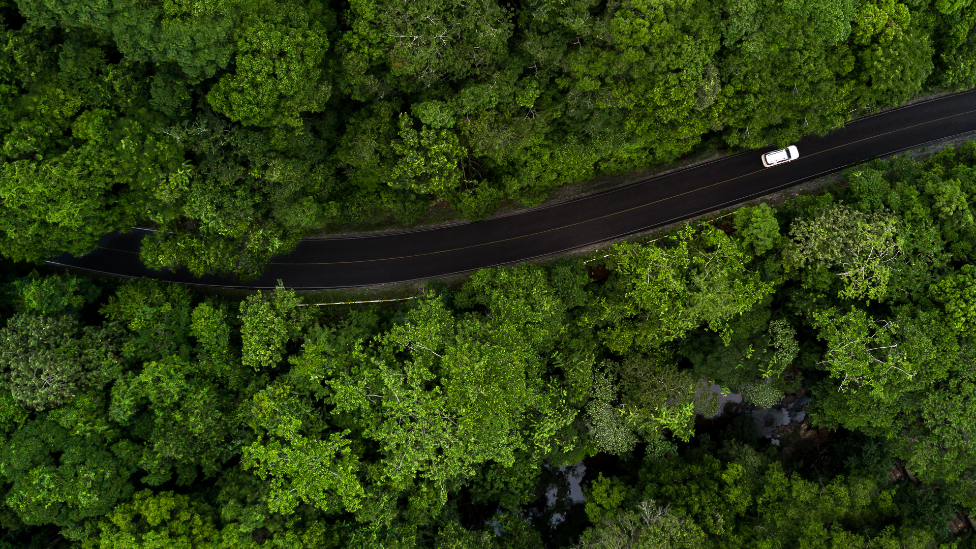 A car driving on a forest road photographed from above