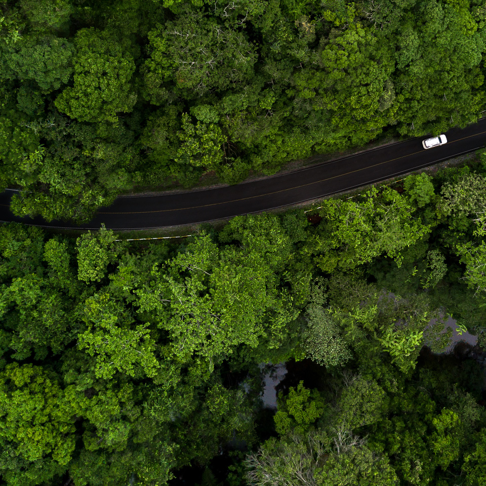 A car driving on a forest road photographed from above