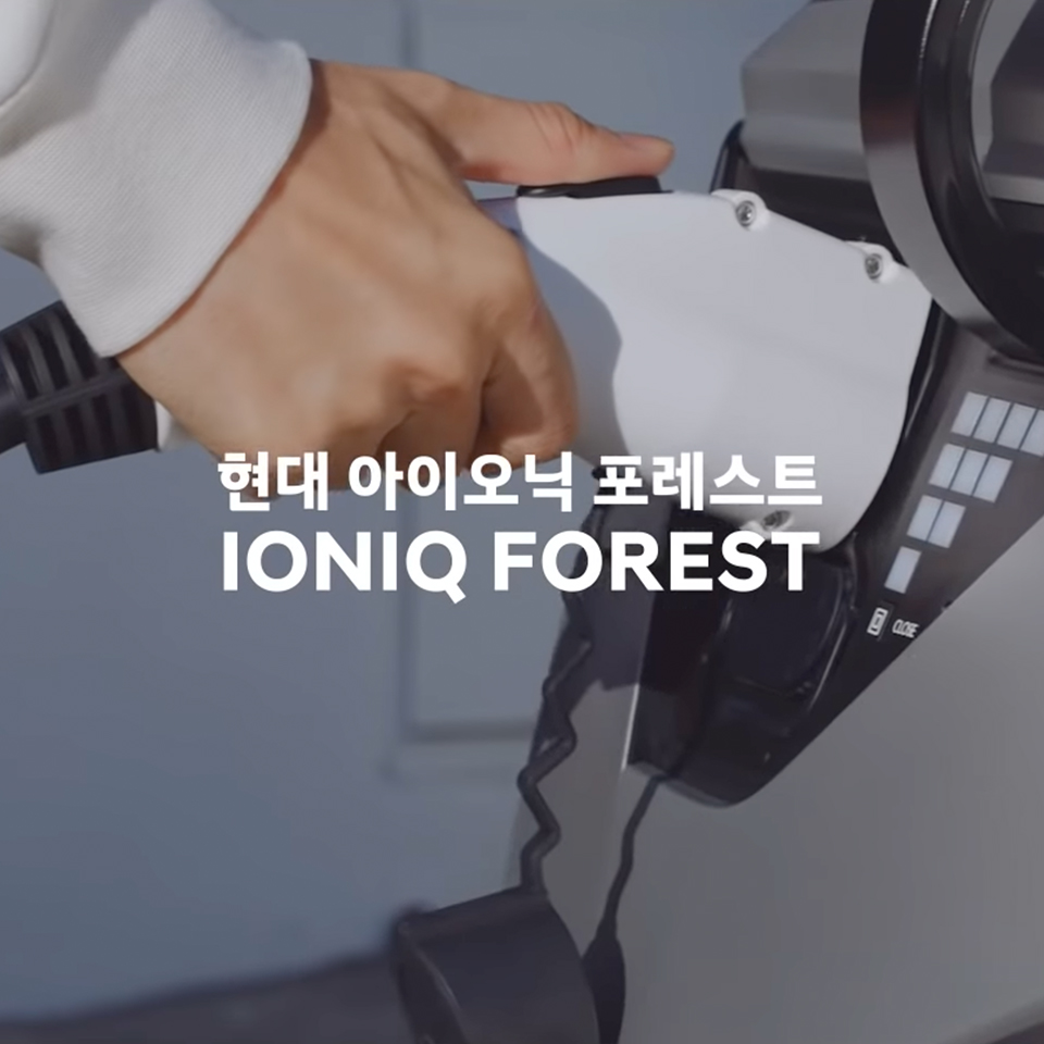 2018년 인천 수도권 매립지 아이오닉 포레스트