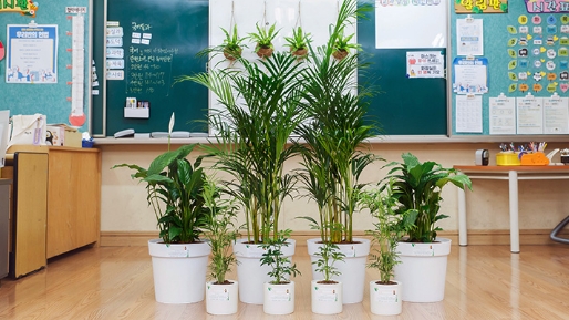 IONIQ Forest Classroom Forest at Elementary Schools