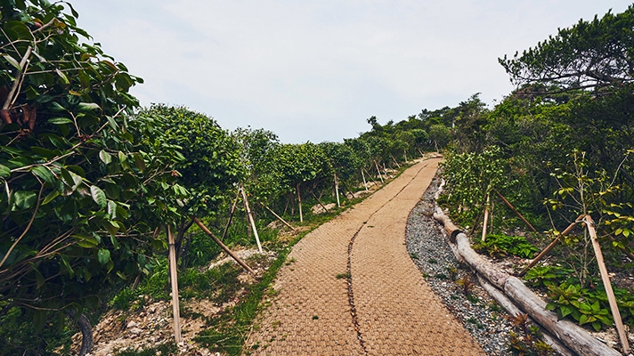 IONIQ Forest in Sinsido