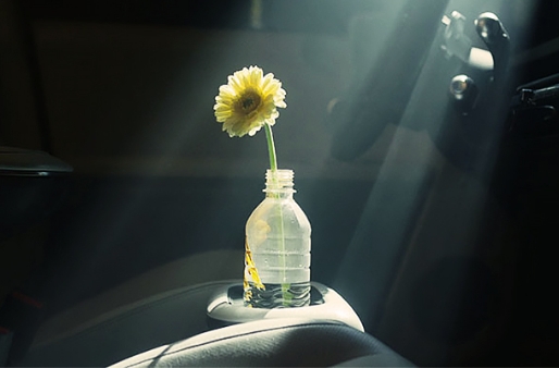 The sun is shining with a plastic bottle on the center console with yellow flowers