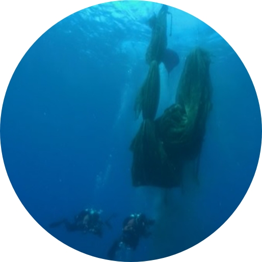 Divers are collecting waste nets from the sea, which were one of the causes of the destruction of the marine ecosystem