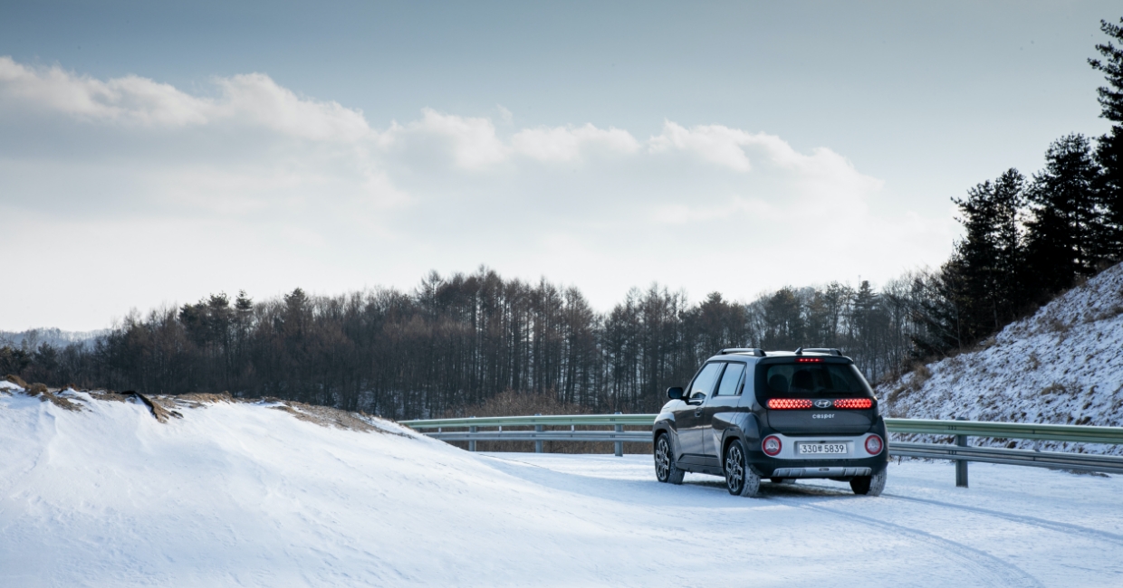 새햐안 눈 위에 서 있는 캐스퍼의 뒷모습