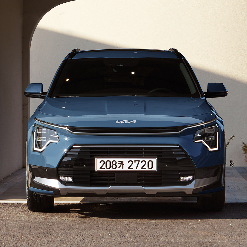 니로 정면 모습