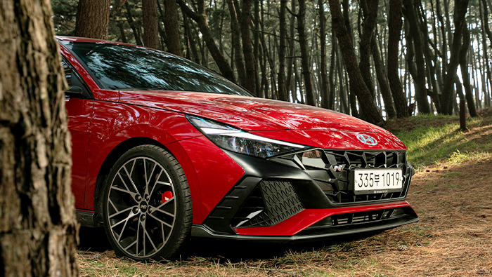 아반떼 N이 우거진 소나무 숲에 정차한 모습