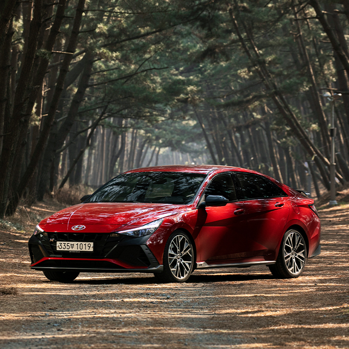 아반떼 N이 우거진 소나무 숲에 정차한 모습