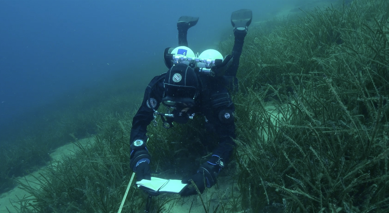 A diver from Divers Alert Network Europe working in the depths of the ocean