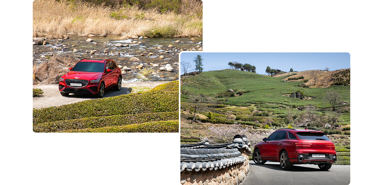 녹차밭 옆에 GV70가 정차한 모습