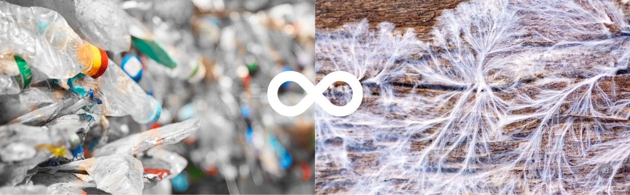 현대차그룹의 사내 스타트업인 마이셀의 기술을 설명하는 이미지의 모습